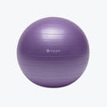Total Body Balance Ball® Kit - Edition 2